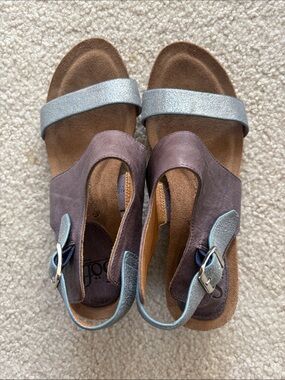 Sofft Blueish Silver, Navy and Purplish-Maroon Women's Sandals